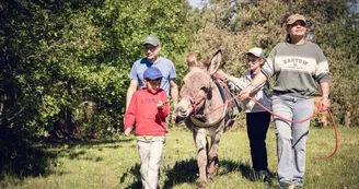 Randonnée avec nos ânes Randonnée avec nos ânes