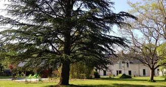 Le Parc Le Parc