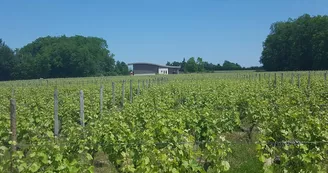 DIVIN LOIRE DIVIN LOIRE