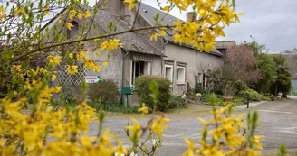 les_grillons_1 les_grillons_1