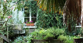 les_grillons_11 les_grillons_11