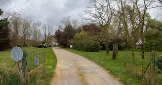 les_grillons_14 les_grillons_14