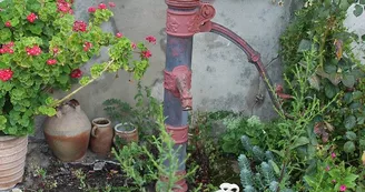 les_grillons_16 les_grillons_16