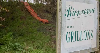 les_grillons_18 les_grillons_18