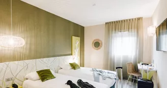 Ibis - Contres Cheverny-203 Ibis - Contres Cheverny-203