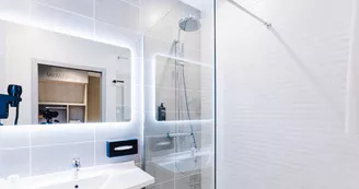 Ibis - Contres Cheverny-207 Ibis - Contres Cheverny-207