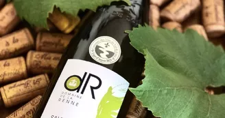 Sauvignon Sauvignon