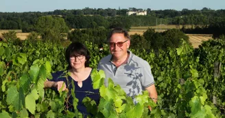 Domaine-Les-Vaucorneilles Domaine-Les-Vaucorneilles