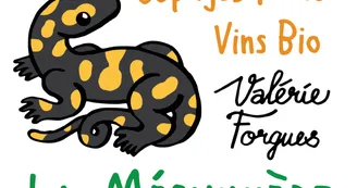web-logo-VF web-logo-VF
