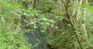 Ruisseau de la Grosse Pierre Ruisseau de la Grosse Pierre