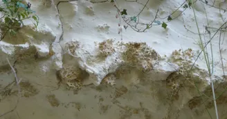 site-naturel-la-grosse-pierre-mareuil-sur-cher site-naturel-la-grosse-pierre-mareuil-sur-cher