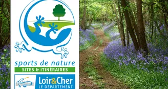 logo-tourisme-de-nature-sites-et-itineraires-chemin-forestier logo-tourisme-de-nature-sites-et-itineraires-chemin-forestier