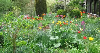 Jardin paysagé - Ferme auberge de la Lionnière