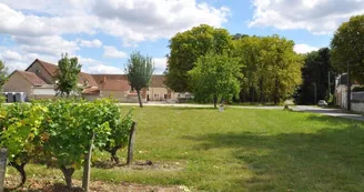 Les-Pierres-DAurele-Chambres-DHotes-Saint-Georges-sur-C_005 Les-Pierres-DAurele-Chambres-DHotes-Saint-Georges-sur-C_005