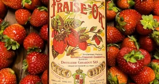 2024_Distillerie Girardot_Fraise Or 2024_Distillerie Girardot_Fraise Or