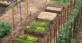 Potager-3-Chemins-St-Aignan-Vallee-du-Cher-Loir-et-Cher Potager-3-Chemins-St-Aignan-Vallee-du-Cher-Loir-et-Cher