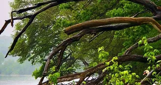 Screenshot_20190604-124434_Instagram Screenshot_20190604-124434_Instagram