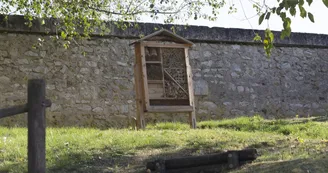 sentier-nature-chateauvieux-sudvaldeloire-©G.Abadie-3 sentier-nature-chateauvieux-sudvaldeloire-©G.Abadie-3