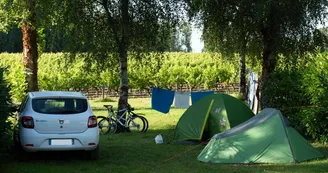 camping camping