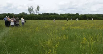 Coeur des prairies 2017 Coeur des prairies 2017