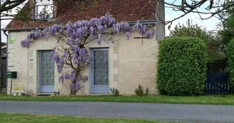 La Glycine_1