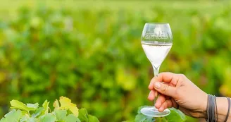 Vins du domaine Plou et Fils - Chargé Vins du domaine Plou et Fils - Chargé