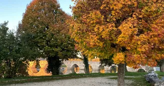 Balade sur les bords du Cher avec les couleurs d'automne Balade sur les bords du Cher avec les couleurs d'automne