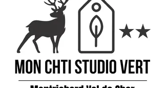 Logo de Mon chti studio vert Logo de Mon chti studio vert