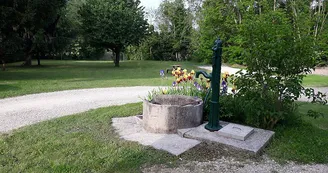 Tis_jardin Tis_jardin