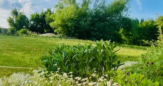 jardin-fleuri jardin-fleuri