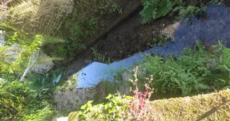 Le ruisseau Le ruisseau