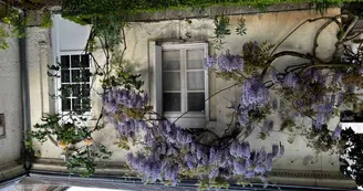 belvedere (3)