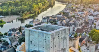 Donjon de Montrichard Donjon de Montrichard