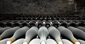 Domaine du Grand Moulin Seneau et Fils