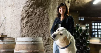 Domaine dud Grand Moulin Seneau et Fils