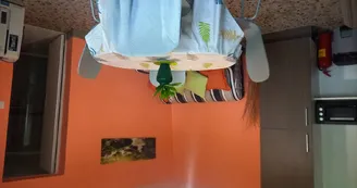 20230429_120247 20230429_120247