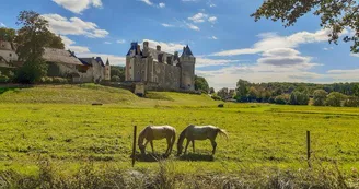 Château de Montpoupon Château de Montpoupon