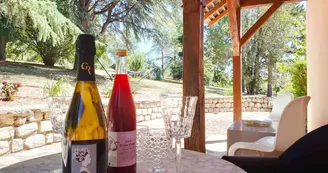 apéritif au jardin apéritif au jardin