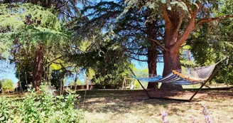 Repos dans le hamac du parc Repos dans le hamac du parc