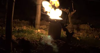 xavier_frissant_vigneron (1) xavier_frissant_vigneron (1)