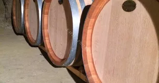 xavier_frissant_vigneron (10) xavier_frissant_vigneron (10)