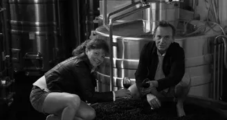xavier_frissant_vigneron (9) xavier_frissant_vigneron (9)