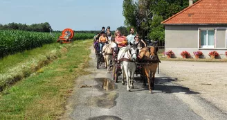 (1)balade-equestre-attelage-plaisir-feings