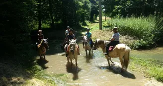 Attelage-plaisirs-feings©Attelage-Plaisirs05