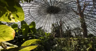 dome_interieur_01 dome_interieur_01
