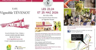 Notre document Vignoble Tévenot 2026 Notre document Vignoble Tévenot 2026