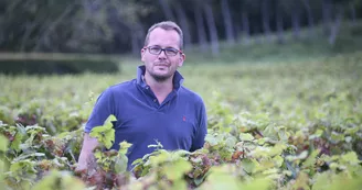 Domaine des Bessons Limeray Domaine des Bessons Limeray