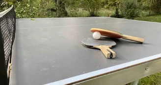 Ping Pong Ping Pong