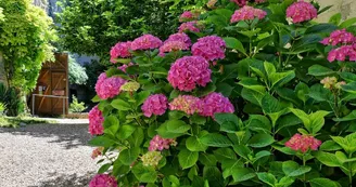 C'est un jardin extraordinaire C'est un jardin extraordinaire