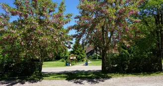 Le Domaine de l'arbrelle - Amboise